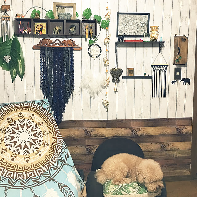 Aim Fn023 Db ツカモトエイム エアリーシェイプ スタイル フィット ダークブラウン Porto ポルト ヒップエクササイズチェア Airly Shape Style Fitのレビュー クチコミとして参考になる投稿21枚 Roomclip Item