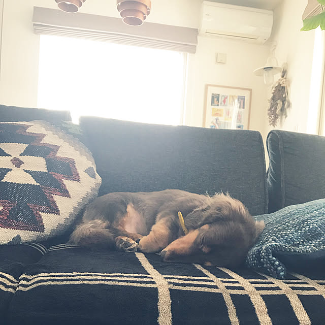 Fuwafuwablanket フワフワブランケット 毛布 ブランケット 大判 ふわふわ フワフワ やわらか 暖かい 防寒具 おしゃれ かわいい チェック柄 タータンチェック 北欧 ナチュラル リーフのレビュー クチコミとして参考になる投稿5枚 Roomclip ルームクリップ