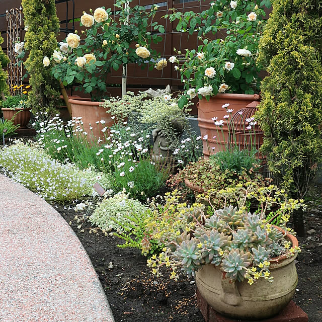 写真付きレビュー ライフ エコ 植木鉢 ギリシャ製 おしゃれ テラコッタ鉢 素焼 44cm クレタ ローズポット 大型の通販商品 口コミ情報 Roomclipショッピング