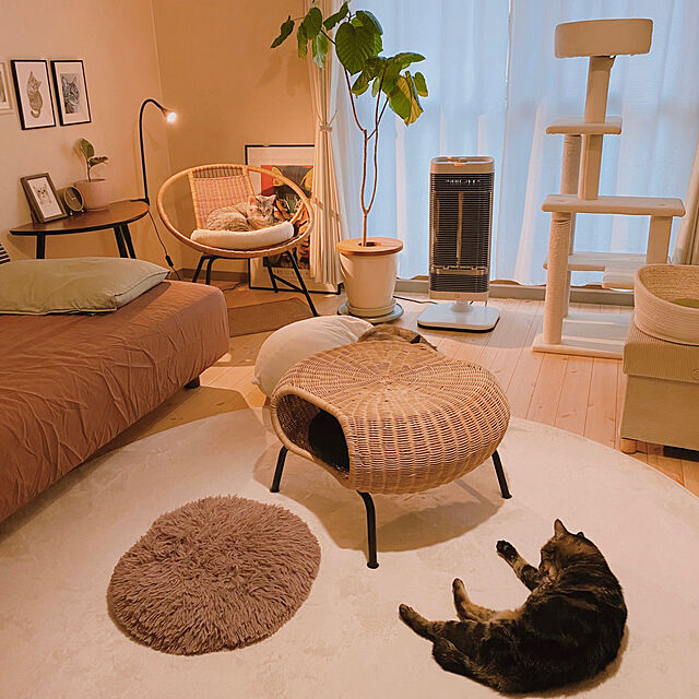 ≪あす楽対応≫コーナン オリジナルふわふわ キャットツリー 120cm 猫タワー キャットタワー 玩具 ツリーのレビュー・クチコミとして参考になる投稿8枚  | RoomClipショッピング