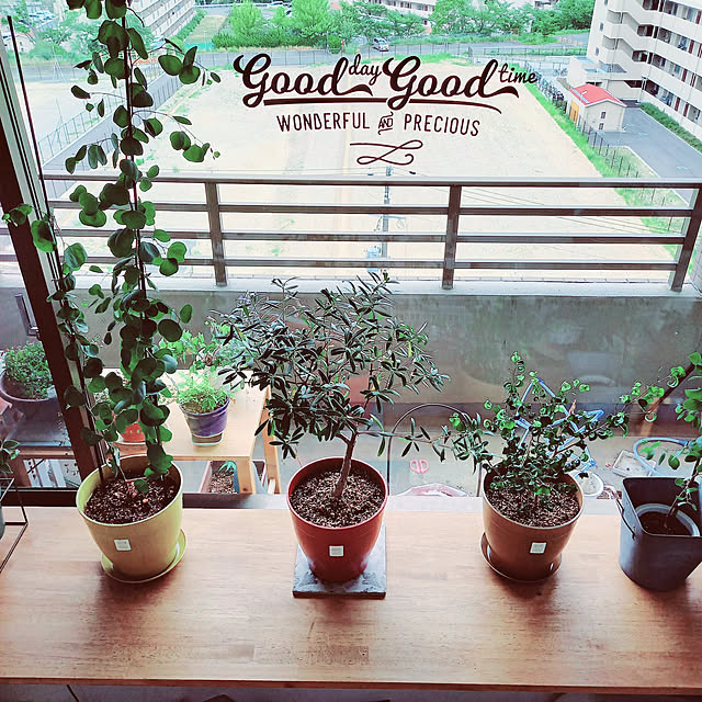 Ecoforms エコフォームズ ポットノバ8天然素材の植木鉢ガーデニング 園芸 家庭菜園 プランターのレビュー クチコミとして参考になる投稿7枚 Roomclip ルームクリップ