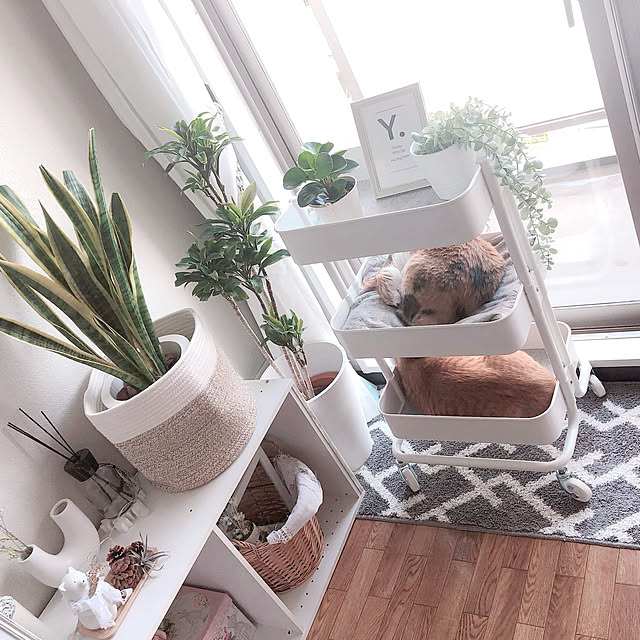 写真付きレビュー イケア Fejka フェイカ 人工観葉植物の通販商品 口コミ情報 Roomclipショッピング