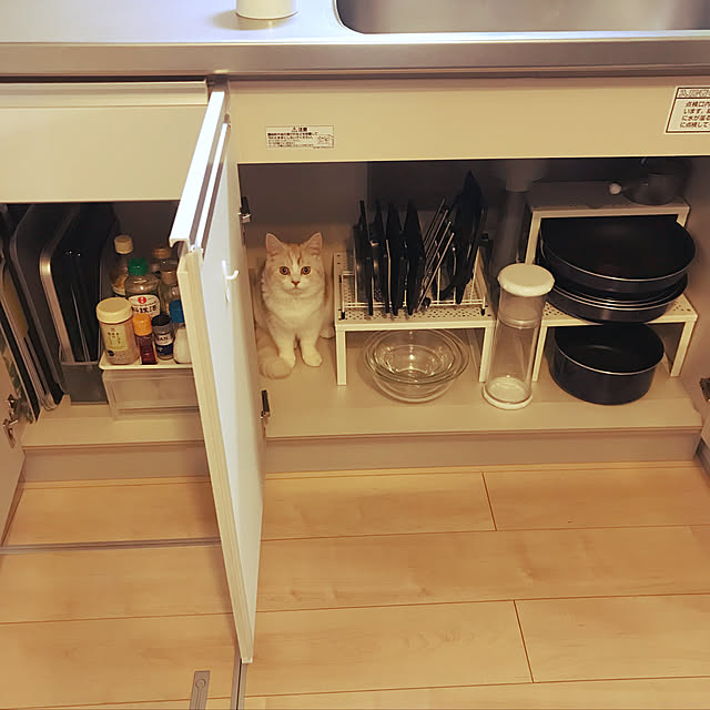 Ikea イケア 通販 Variera ヴァリエラ シェルフインサート ホワイト C A のレビュー クチコミとして参考になる投稿14枚 Roomclip ルームクリップ Ikea イケア 通販 Variera ヴァリエラ シェルフインサート ホワイト C A のレビュー クチコミとして参考になる投稿14枚 Roomclip ルームクリップ
