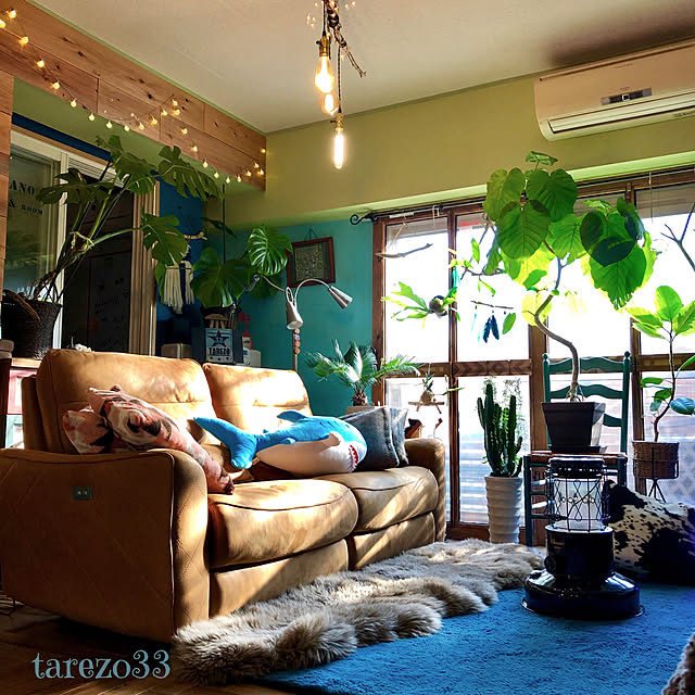 あす楽 壁の補修 壁紙の下地調整に 煉り済みで そのまま使える ヤヨイ 水性シールパテ 4kg 壁紙屋本舗のレビュー クチコミとして参考になる投稿8枚 Roomclip Item