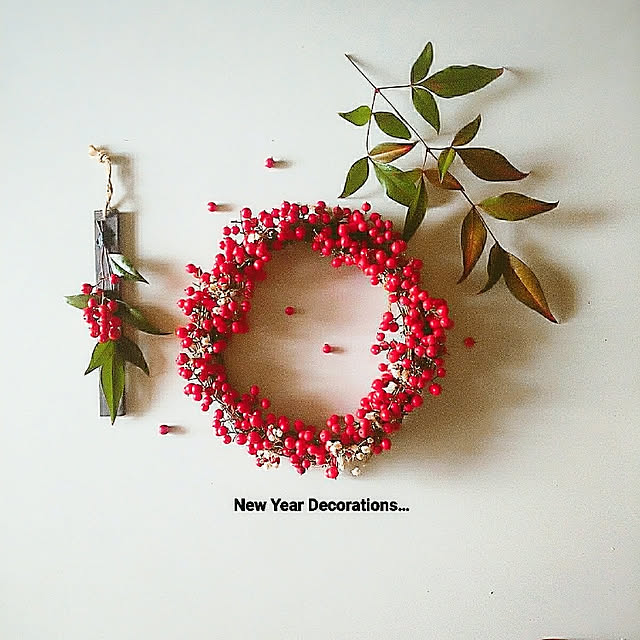 ドライフラワー花材 Hdスターチス ホワイト 小分け そらプリのレビュー クチコミとして参考になる投稿7枚 Roomclip Item