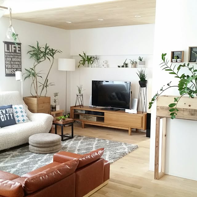 サンセベリア ファーンウッド ミカド 3号 サンスベリア 品薄 人気観葉植物 のレビュー クチコミとして参考になる投稿35枚 Roomclip ルームクリップ