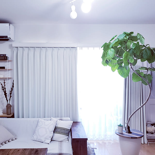 レック バルサン虫こないもん置くだけ プランツ 2日用 予防 防虫 防止 虫 ムシケア 虫ケア 虫よけ 屋外 キャンプ 玄関のレビュー クチコミとして参考になる投稿2枚 Roomclip ルームクリップ