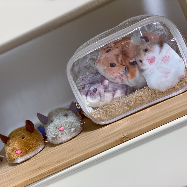 You More ペタッと壁に張り付いている ハムスターのポーチの会 フェリシモ Felissimoのレビュー クチコミとして参考になる投稿7枚