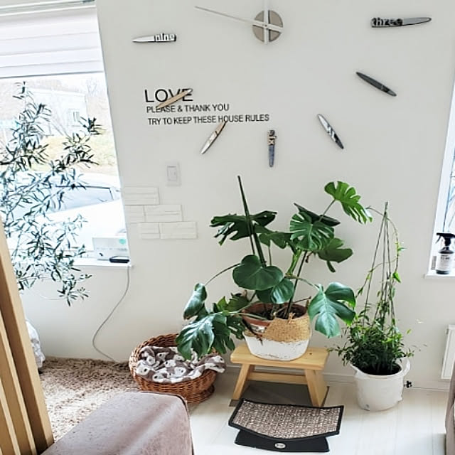 無料印刷可能観葉 植物 北欧 すべての美しい花の画像