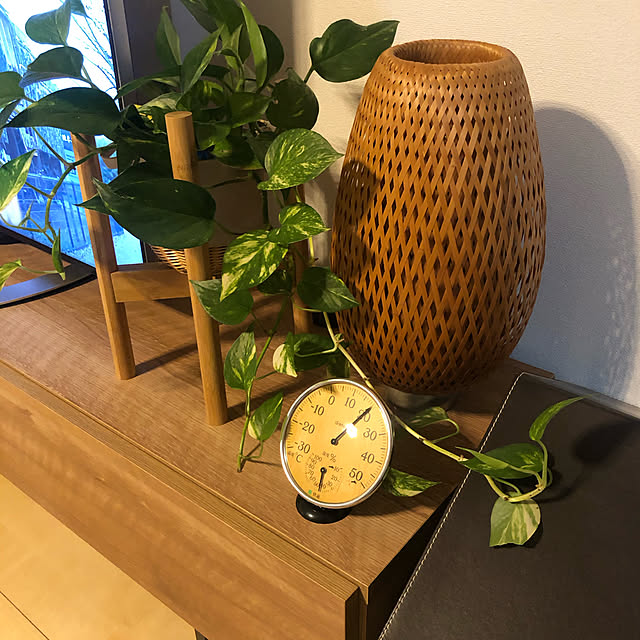 One Sight フラワースタンド 花台 竹製 鉢スタンド 幅30cmまで調整 観葉植物 台 植木鉢おき プランター プラントスタンド 木製 100kg耐荷重 屋外室内 1年安心サービス のレビュー クチコミとして参考になる投稿42枚 Roomclip ルームクリップ