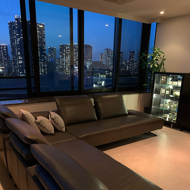 トッティー キュリオケース モダン家具 飾り棚 白い家具 送料無料 日本製 デザイナーズ家具 高級家具 インテリア モダン コレクションケース スタイリッシュ 収納 おしゃれ モダンデザイン モダンスタイル 松永工房のレビュー クチコミとして参考になる投稿7枚