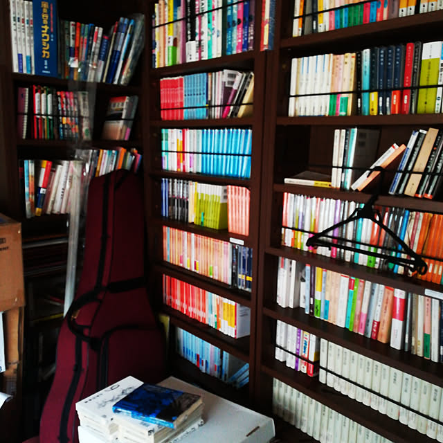 充英アート 送料無料 完成品お届け 天井つっぱり書棚 愛書家 究極の本棚 本好き 漫画好き専用 奥行き17cm 本棚 薄型 送料無料 スリム本棚 大容量 つっぱり 本棚 オシャレ 設置ラクラク完成品お届け 完成品本棚 本収納 コミック収納 壁面収納 Jajan Spu の