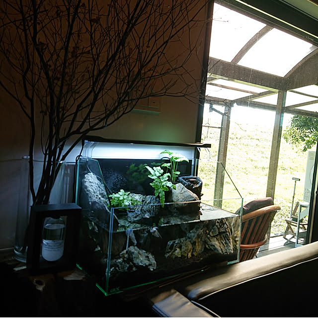 ジェックス グラステリア アクアテラ スリム450のレビュー クチコミとして参考になる投稿9枚 Roomclip ルームクリップ