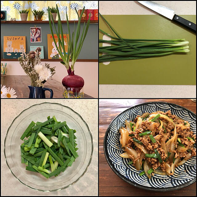 水栽培 玉ねぎの葉 絵本 ピスタチオグリーン 料理 などのインテリア実例 21 03 30 13 01 08 Roomclip ルームクリップ