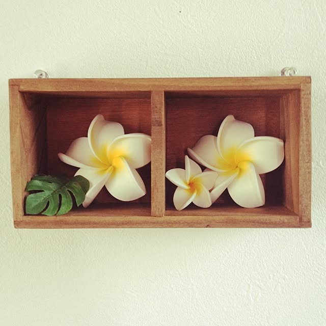 玄関 入り口 プルメリア セリア 100均のインテリア実例 14 08 11 16 28 30 Roomclip ルームクリップ