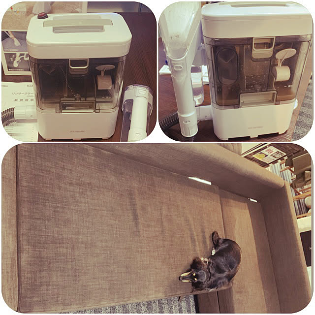 写真付きレビュー P10倍 31日限定 即納 リンサークリーナー アイリスオーヤマ カーペットクリーナー Rns 300掃除機 クリーナー 水洗い 車内 掃除 車掃除 温水 ソファ 絨毯 布製品 ペット コンパクト 軽量 丸洗い 家庭用 カーペット洗浄機 スポットリンサー 送料 写真付きレビュー P10倍 31日限定 即納 リンサークリーナー アイリスオーヤマ カーペットクリーナー Rns 300掃除機 クリーナー 水洗い 車内 掃除 車掃除 温水 ソファ 絨毯 布製品 ペット コンパクト 軽量 丸洗い 家庭用 カーペット洗浄機 スポットリンサー 送料