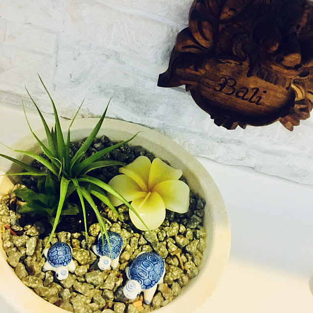 フランジパニのボウル バリ 雑貨 石 器 バリ島 ハワイ ハワイアン 夏 南国 インテリア バリ風 置物 おしゃれ デザイン のレビュー クチコミとして参考になる投稿4枚 Roomclip ルームクリップ