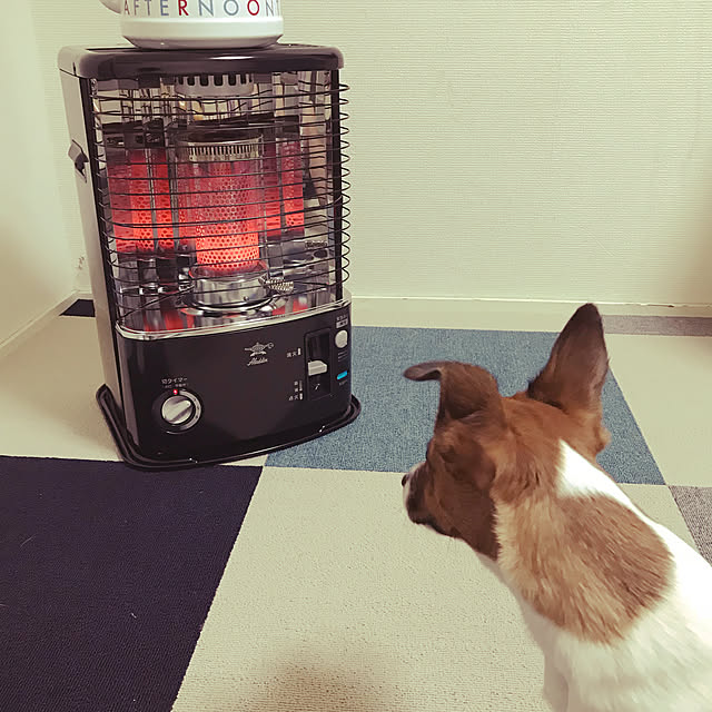 写真付きレビュー】日本エー・アイ・シー アラジン 石油ストーブ AKP ...