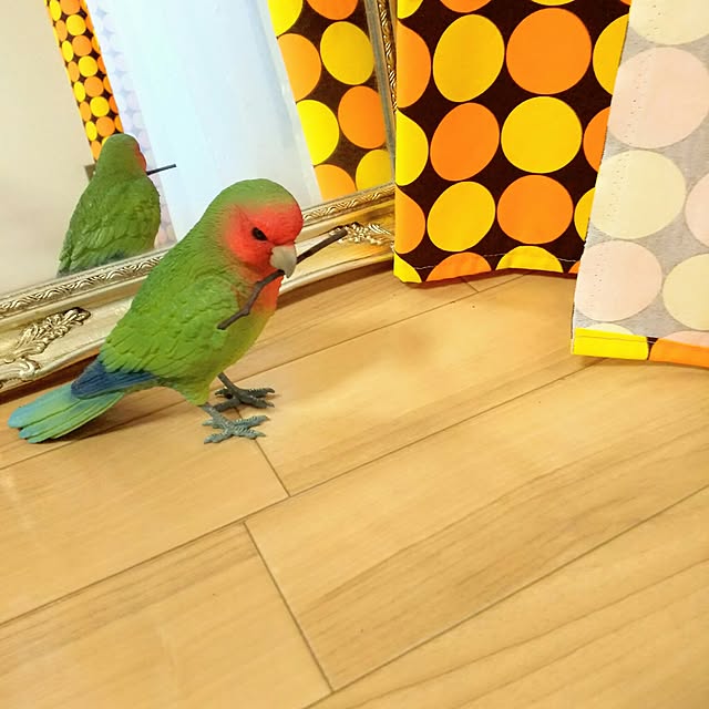 写真付きレビュー エントリーでp10倍 バーディビル Birdie Bill Parakeet コザクラインコ Rosy Faced Love Bird マメルリハ Pacific Parrotiletは完売です 小鳥 インコ クリップホルダー オブジェ リアル メッセージバード バーディービル バードビル Magnetの 写真付きレビュー エントリーでp10倍 バーディビル Birdie Bill Parakeet コザクラインコ Rosy Faced Love Bird マメルリハ Pacific Parrotiletは完売です 小鳥 インコ クリップホルダー オブジェ リアル メッセージバード バーディービル バードビル Magnetの