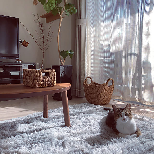 ラグ 洗える ラグマット おしゃれ 160x1 カーペット 長方形 ラグ 子供部屋 絨毯 滑り止め付 マット ラグカーペット 夏 冬 カーペット 長毛マット 絨毯 リビング 床 冷房対応 送料無料 M 160x1cm のレビュー クチコミとして参考になる投稿6枚