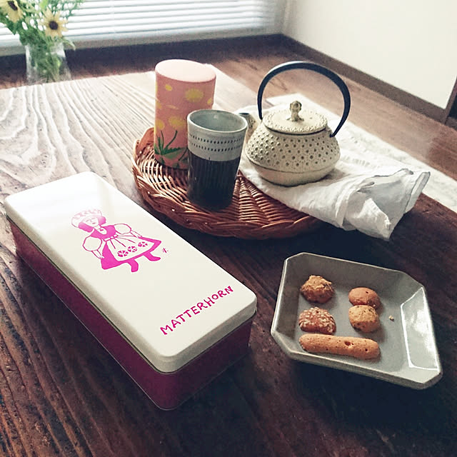 南部鉄器 アンシャンテ カラーポット カモミール 白のレビュー クチコミとして参考になる投稿8枚 Roomclip ルームクリップ