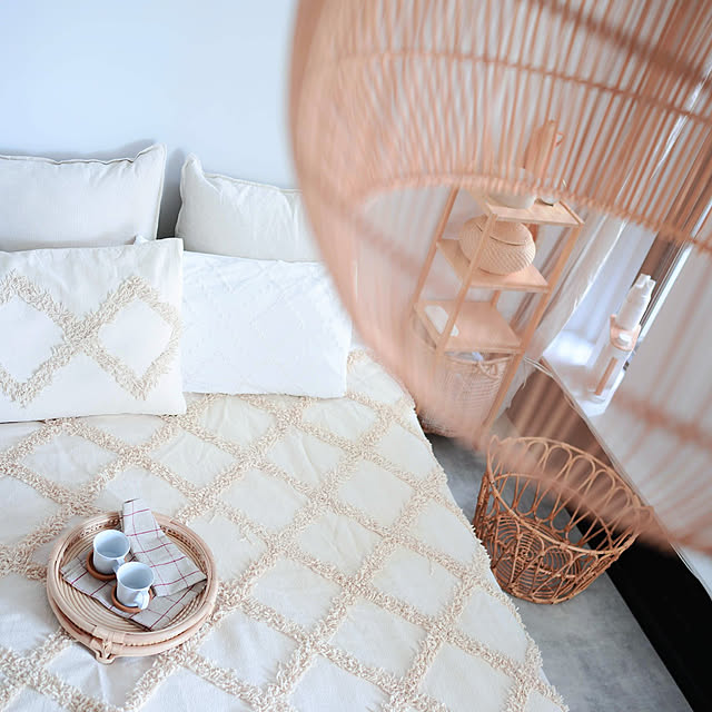 イデアインターナショナル マルチふとんドライヤーのレビュー 口コミとして参考になる投稿15枚 Roomclip ルームクリップ