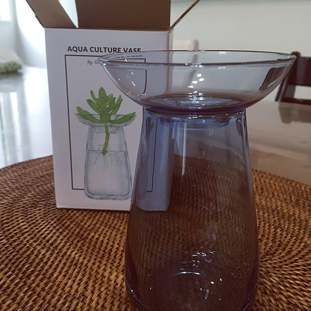 Kinto Aqua Culture Vase Sサイズ キントー アクアカルチャーベース 花瓶 花器 フラワーベース 多肉植物 球根 種 水栽培 水耕栽培 シンプル ハーブ ヒヤシンス サボテン アボカド ガラス グリーン インテリア 雑貨 ギフト プレゼント Tempooのレビュー クチコミとして