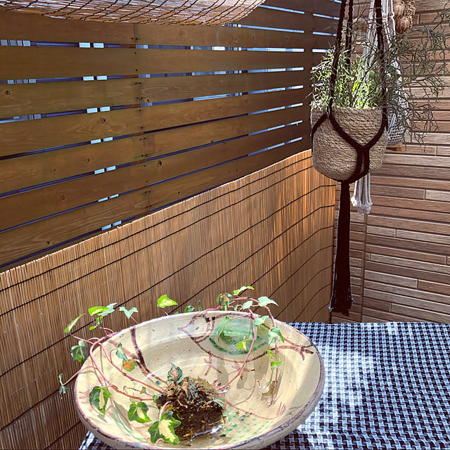 竹すだれ 約 180cm 茶色 コーナン 日除け 日よけ すだれ サンシェード オーニングのレビュー クチコミとして参考になる投稿1枚 Roomclip ルームクリップ