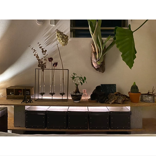 Osb 合板 9 910 10mm 配向性ストランドボード Diy 木材 のレビュー クチコミとして参考になる投稿枚 Roomclip ルームクリップ Osb 合板 9 910 10mm 配向性ストランドボード Diy 木材 のレビュー クチコミとして参考になる投稿枚 Roomclip ルームクリップ