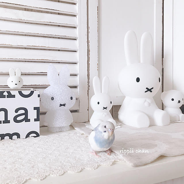 ミッフィーbundle Of Light ミニサイズ 授乳ライト Led ナイトライト バンドルライト 間接照明 Miffy ミッフィー ボリス ライオン 子供部屋 寝室 可愛い 子供 キッズ Mr Maria 誕生日 出産祝い プレゼント のレビュー クチコミとして参考になる投稿4枚 Roomclip