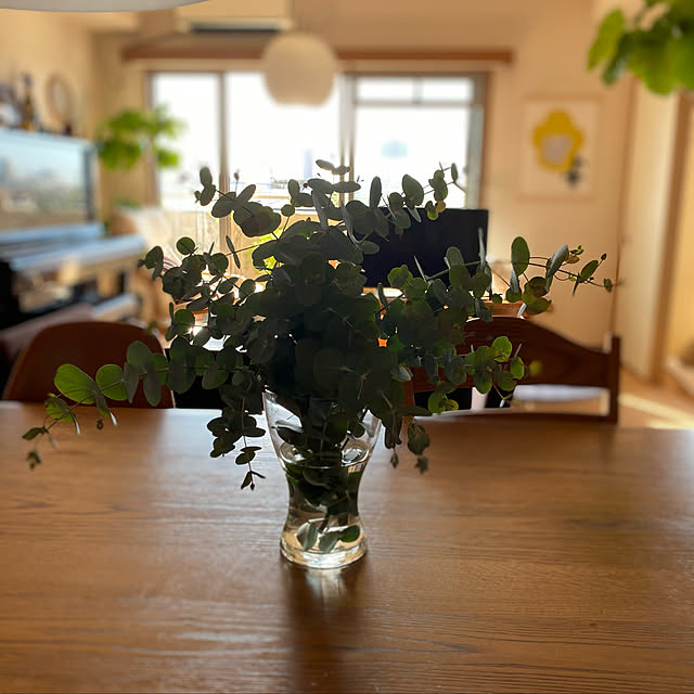 Ikea イケア Vasen 花瓶 クリアガラス Dのレビュー クチコミとして参考になる投稿30枚 Roomclip ルームクリップ