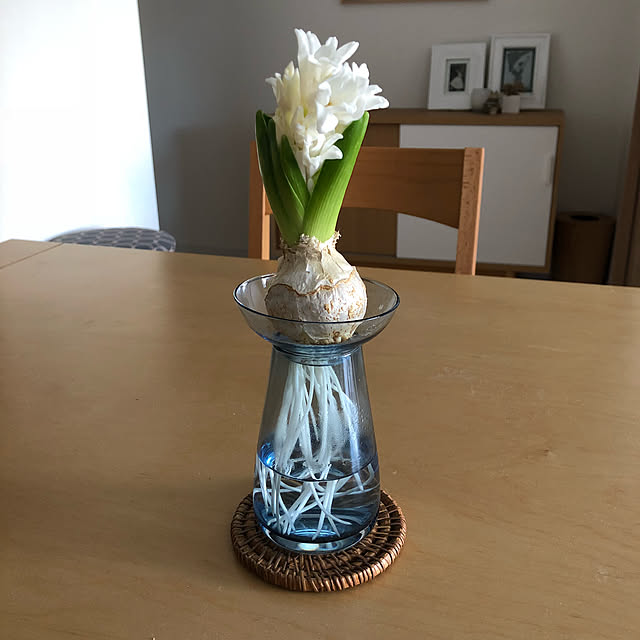 キントー Kinto 花器 Aqua Culture Vase Sサイズ ガラス 花瓶 おしゃれ フラワーベース 花 グリーン 栽培 ハーブ 激安