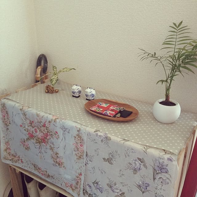 玄関/入り口/DIY/すのこ棚/3COINS/植物のインテリア実例 - 2014-03-16 11:34:38