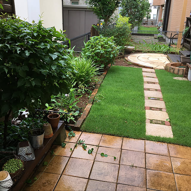 芝生 天然芝 姫高麗芝 ヒメコウライ芝 ロール巻芝 芝生 通販 のレビュー クチコミとして参考になる投稿4枚 Roomclip ルームクリップ