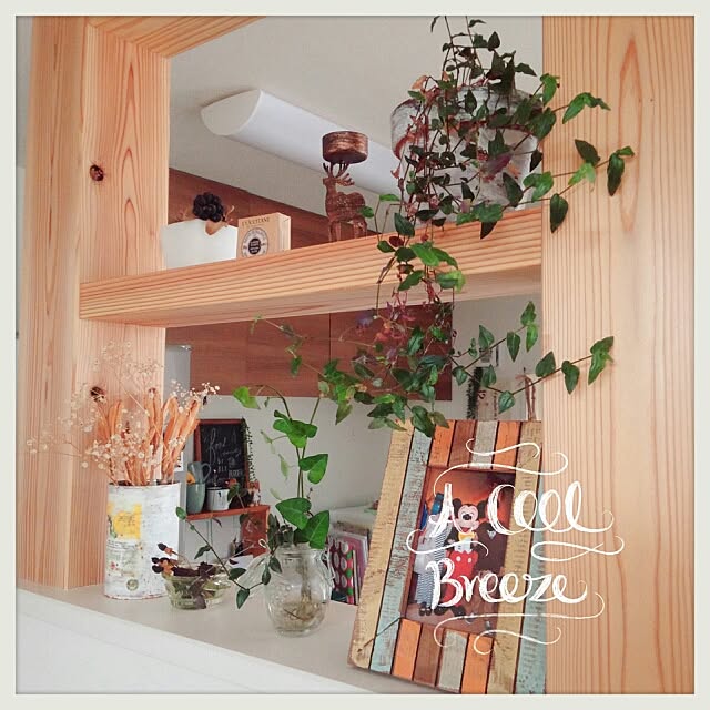 棚/NO GREEN NO LIFE/3COINS/観葉植物/植物...などのインテリア実例 - 2016-07-17 23:49:28