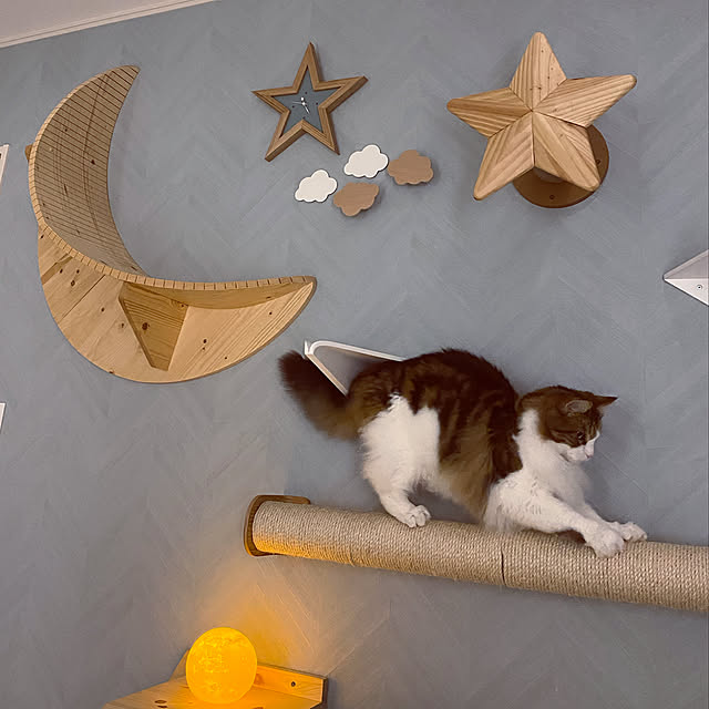 キャットウォーク 木製 壁 猫用 おしゃれ つめとぎ Myzoo マイズー Cylinder 爪とぎポール のレビュー クチコミとして参考になる投稿1枚 Roomclip ルームクリップ
