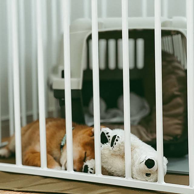 犬 サークル 小型 中型犬用 多頭飼い ケージ 犬 ゲージ おしゃれ ケージペット 犬サークル 犬 ケージ 中型犬 ドッグ サークル ゲージ 犬 おしゃれ シンプル サークル 多頭飼い ケージ ペットサークルスタイリッシュ ドッグサークル ホワイト のレビュー クチコミ 犬 サークル 小型 中型犬用 多頭飼い ケージ 犬 ゲージ おしゃれ ケージペット 犬サークル 犬 ケージ 中型犬 ドッグ サークル ゲージ 犬 おしゃれ シンプル サークル 多頭飼い ケージ ペットサークルスタイリッシュ ドッグサークル ホワイト のレビュー クチコミ