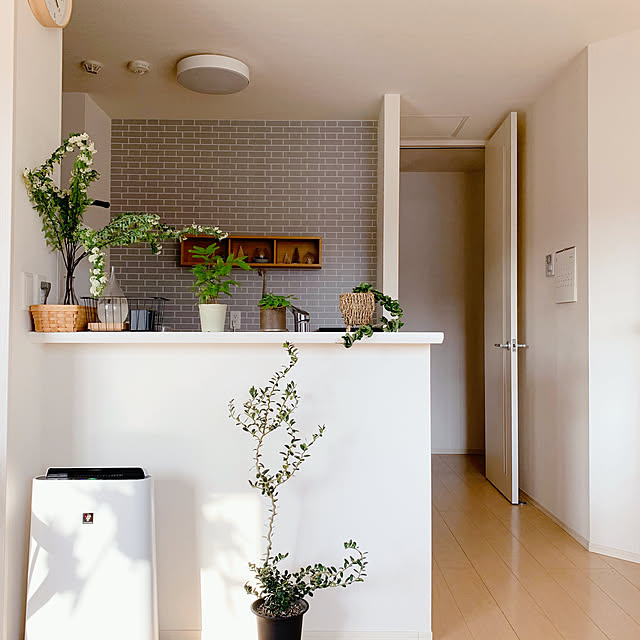 はがせる壁紙用粉のり 壁紙の上から貼ってはがせる イギリス生まれのスーパーフレスコイージー輸入壁紙 フリース と相性抜群 下地によっては はがせない場合もございます あす楽 スーパーフレスコイージー フリース 壁紙用のり 壁紙屋本舗のレビュー クチコミ