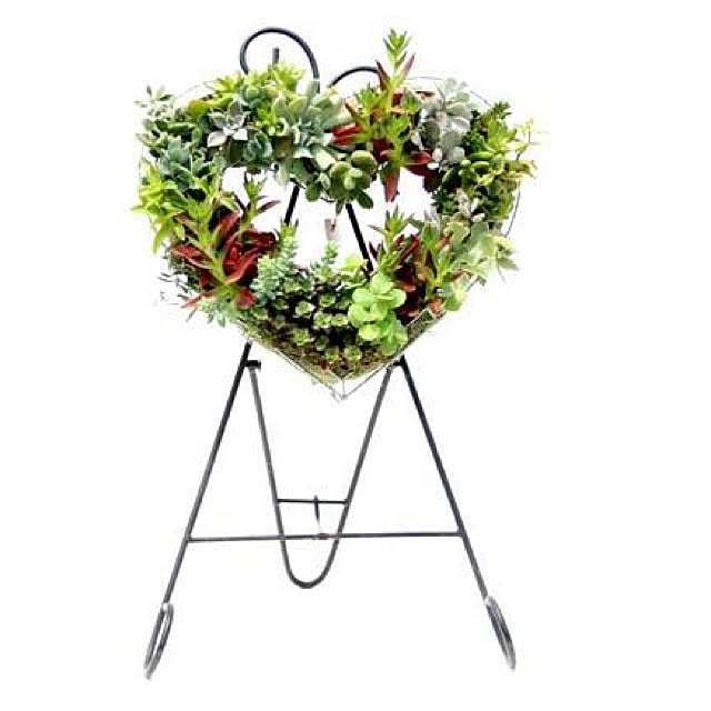玄関/入り口/植物雑貨/観葉植物/植物ポット/ハンドメイド...などのインテリア実例 - 2014-02-18 23:13:40