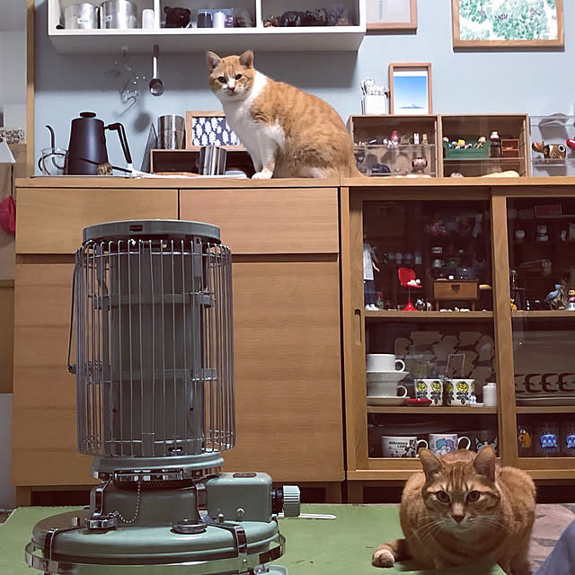 Syuroシュロ ブリキ製 収納ボックス 丸缶lサイズ 日本製 手作り 入れ物 茶筒 収納ボックス レトロ インダストリアル のレビュー クチコミとして参考になる投稿6枚