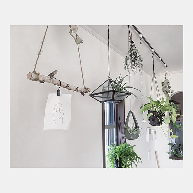Glass Terrarium ガラス テラリウム ハンギング ドロップ Spice スパイス Gfgy5010 グラス ボックス フラワー ベース 花瓶 花器 華道 ディスプレイ 展示 ガーデニング 吊るし 雑貨 北欧 デザイン アレンジメントのレビュー クチコミとして参考になる投稿31枚