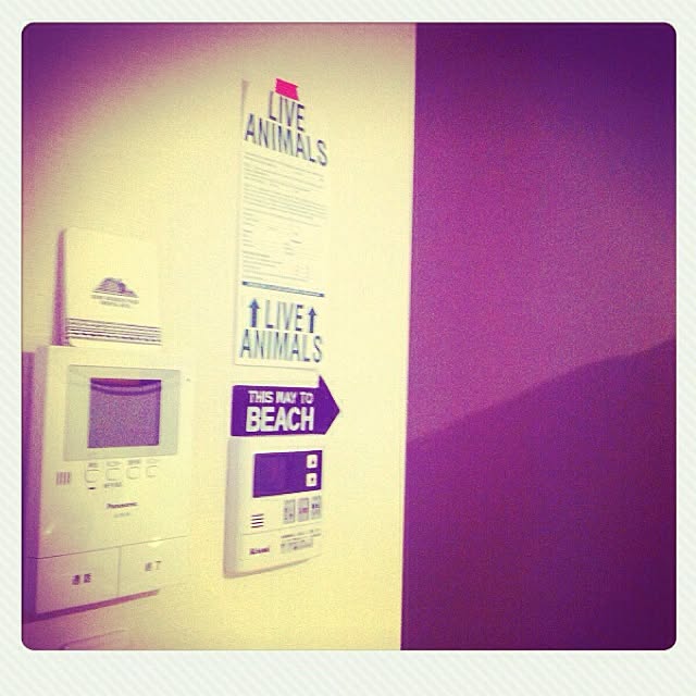 Petmate バリケンネル100スノコ無しのレビュー 口コミとして参考になる投稿2枚 Roomclip ルームクリップ