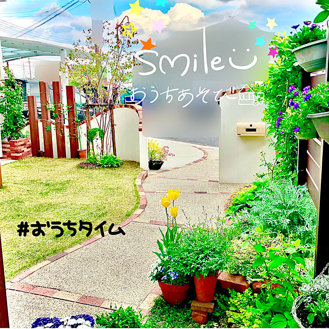 花木 庭木の苗 コデマリ ゴールドファウンテン5号ポットのレビュー クチコミとして参考になる投稿7枚