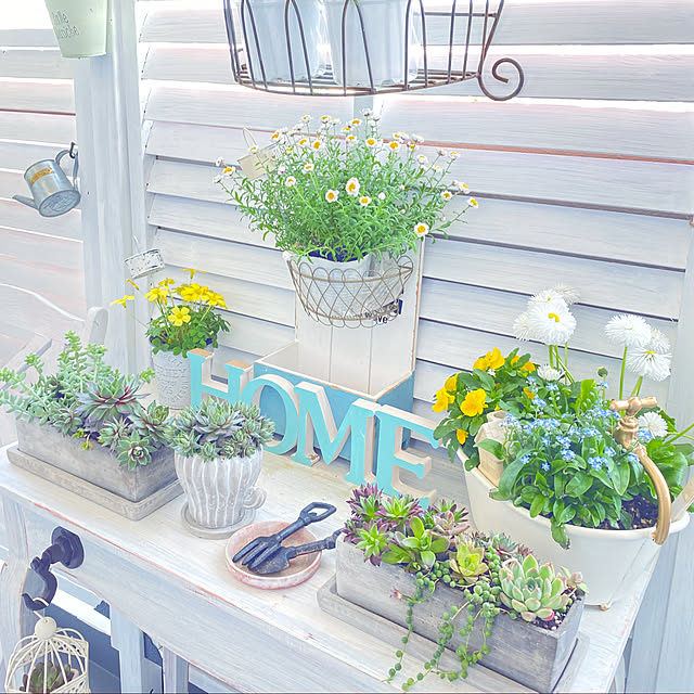 写真付きレビュー】SOLID PLANTER RECTANGLE L PLAIN ダルトン プランター 長方形 おしゃれ コンクリート 鉢 植木鉢の通販商品口コミ情報 | RoomClipショッピング 写真付きレビュー】SOLID PLANTER RECTANGLE L PLAIN ダルトン プランター 長方形 おしゃれ コンクリート 鉢 植木鉢の通販商品口コミ情報 | RoomClipショッピング