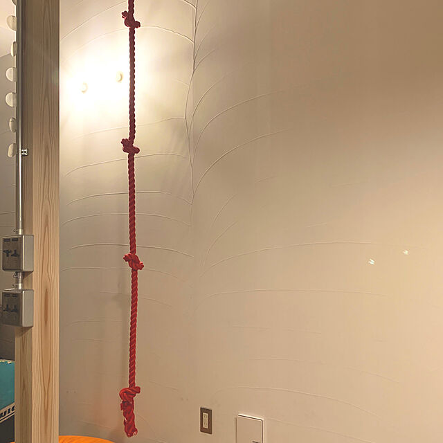 ターザンロープ カラー 登り綱 リプロン赤 24ｍｍ×4ｍ DIY 家庭用 