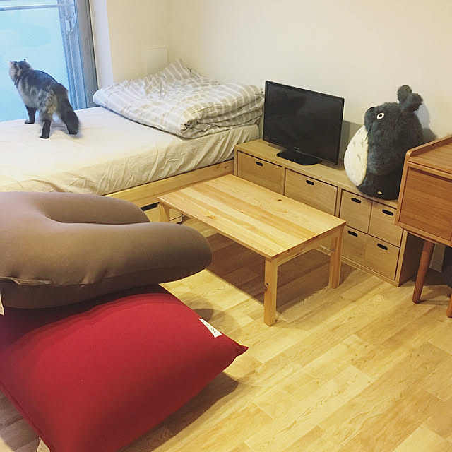 部屋全体/Yogibo/スッキリ暮らしたい/ねこと暮らす/一人暮らし&hellip;などのインテリア実例 20180506 181711