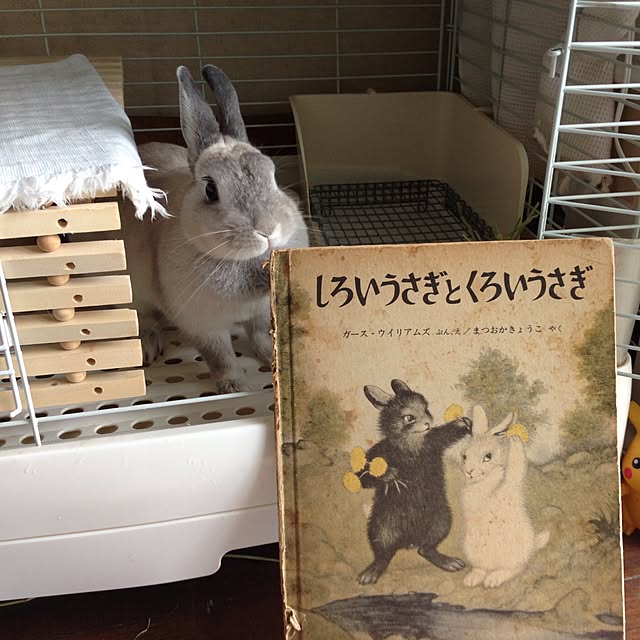 しろいうさぎとくろいうさぎ 世界傑作絵本シリーズ ガース ウィリアムズ のレビュー クチコミとして参考になる投稿1枚