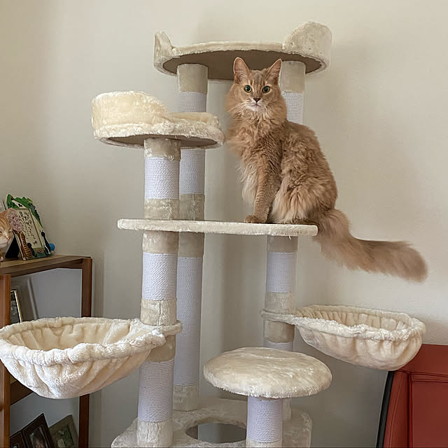 キャットタワー SLIMOA 猫タワー 猫 キャット タワー猫用品 据え置き 