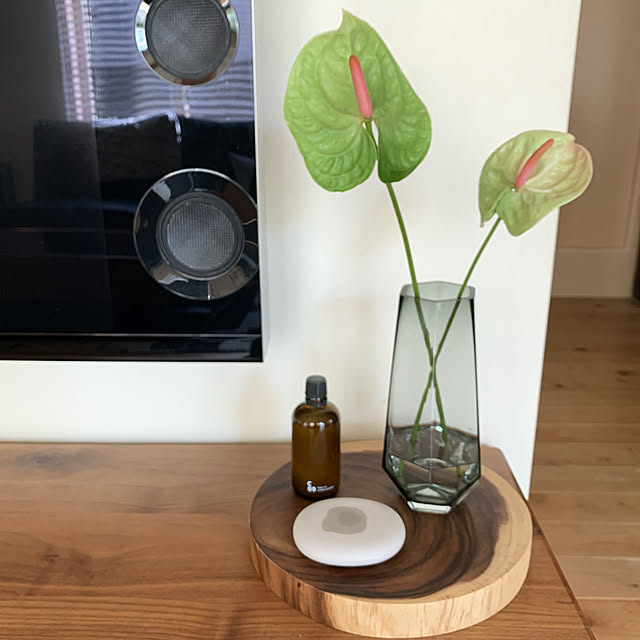 Aroma アットアロマ ピエゾアロマオイル クリーンエア 100ml アロマ ルームフレグランストドマツ ユーカリ ミントのレビュー クチコミとして参考になる投稿3枚 Roomclip ルームクリップ