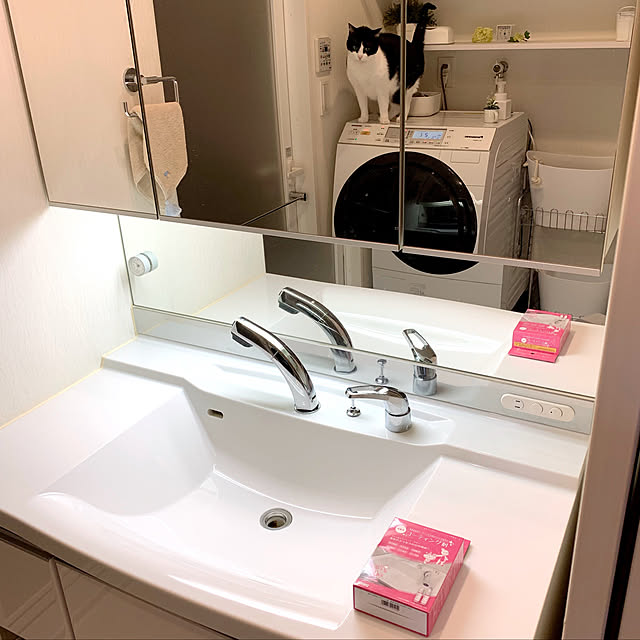 和気産業 おそうじプロのキレイシリーズ 洗面用コーティング剤 洗面台 オススメ Waki クリーナー のレビュー クチコミとして参考になる投稿4枚 Roomclip Item